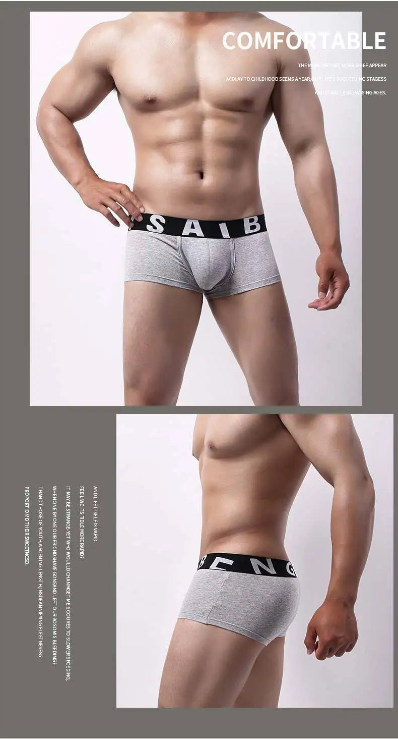 New Cotton Boxer Men Underwear