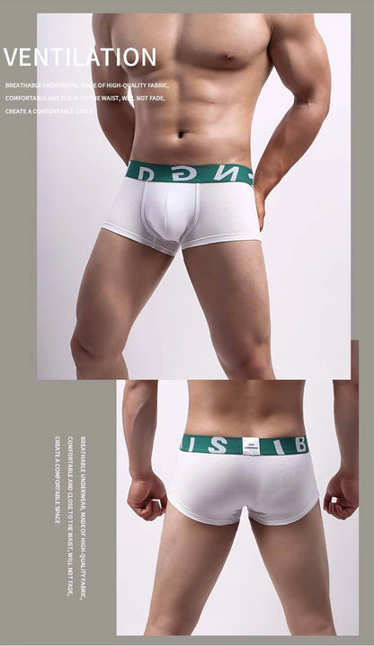 New Cotton Boxer Men Underwear