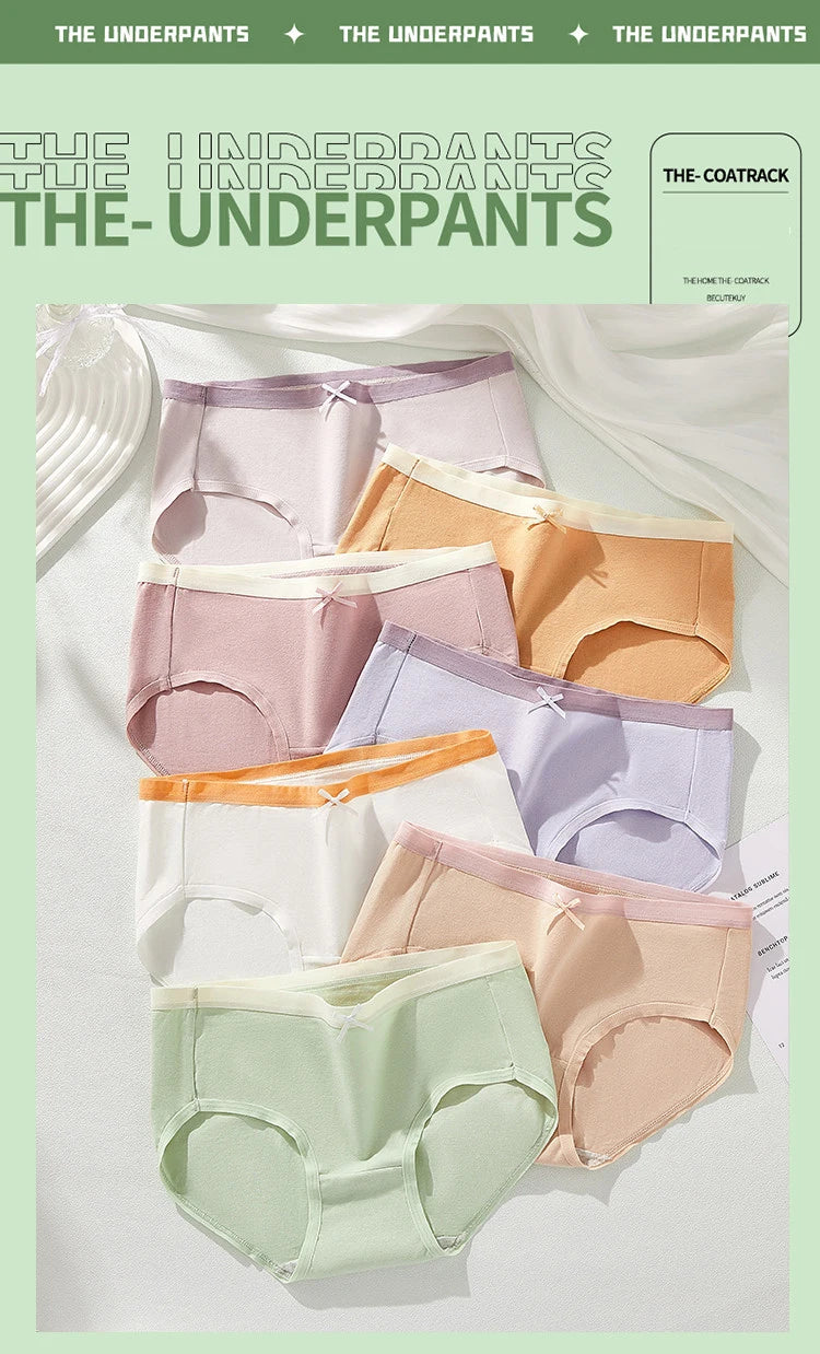 7Pcs Pants Women Cotton