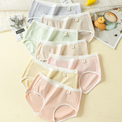 7Pcs Pants Women Cotton